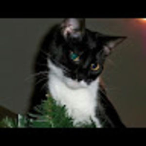 Meet your Posher, Debra